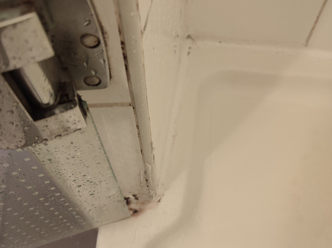 宜必思科托努酒店主图