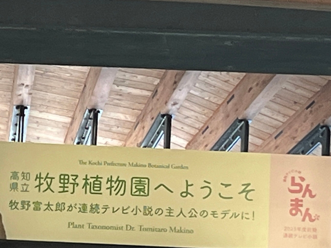 The Kochi Prefectural Makino Botanical Garden-高知市必去景点