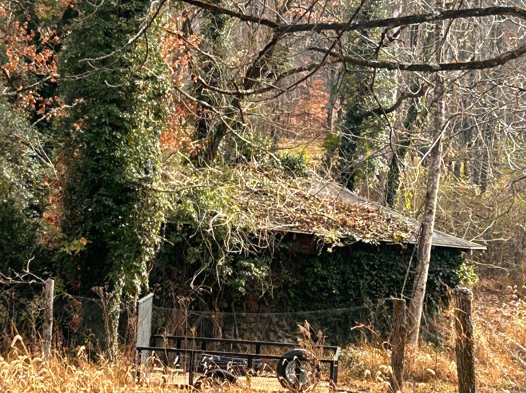 Fletcher Creek Covered Bridge景点图片