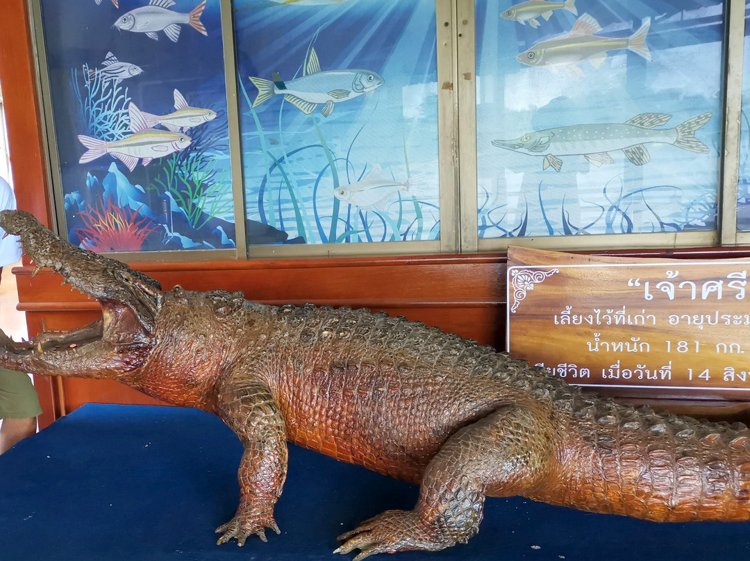 Chaloem Phra Kiat Aquarium景点图片