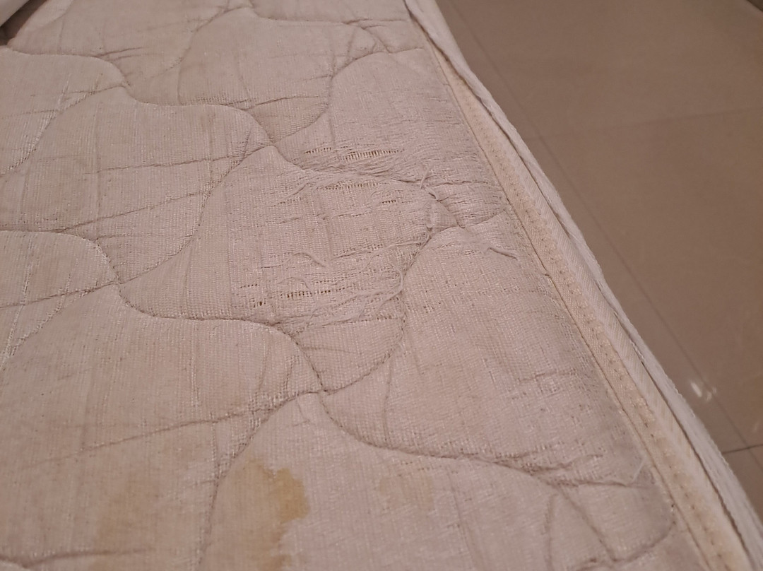 Ginger Faridabad主图