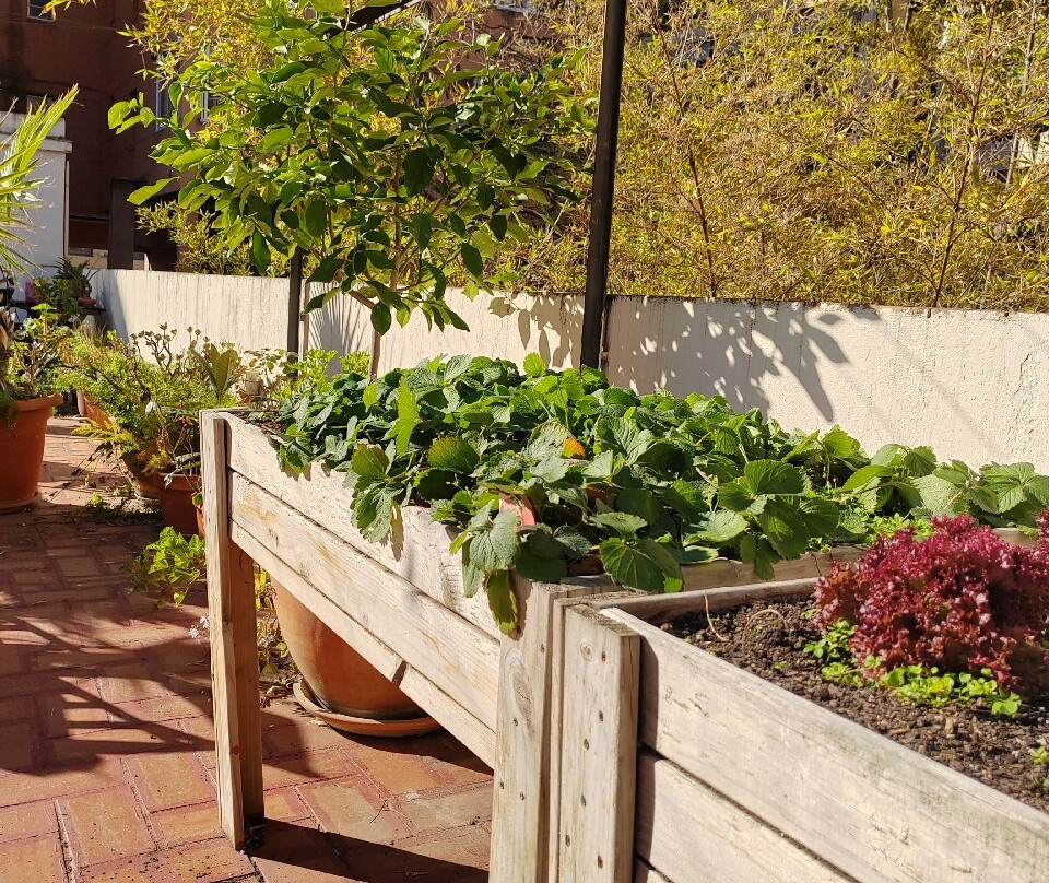 旅馆与一室公寓酒店主图