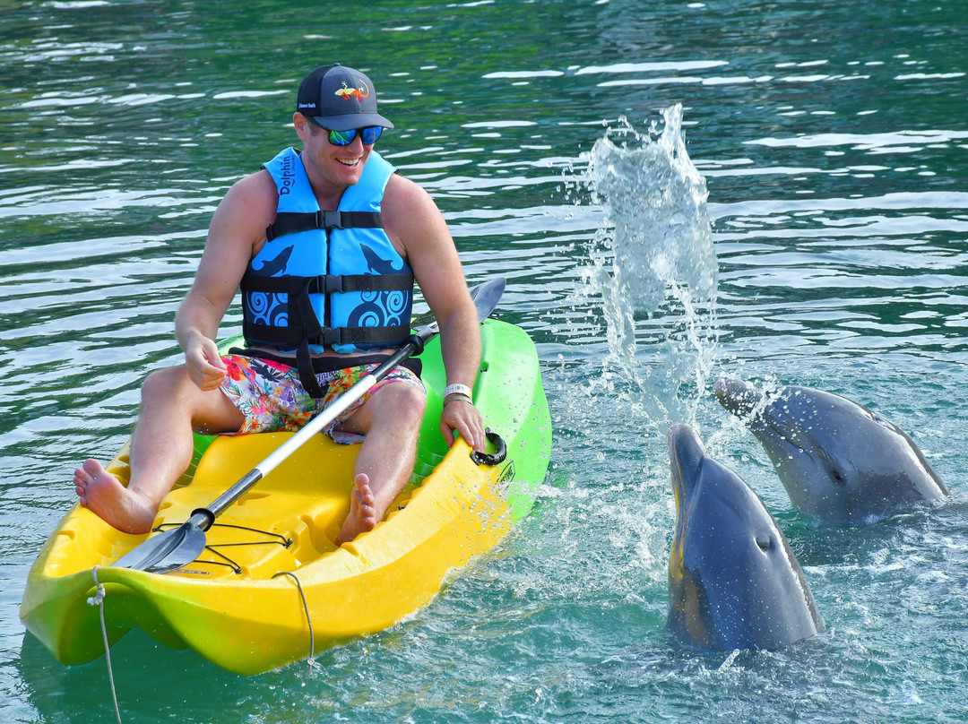 Dolphin Discovery Dreams Puerto Aventuras-阿范特拉斯港必去景点