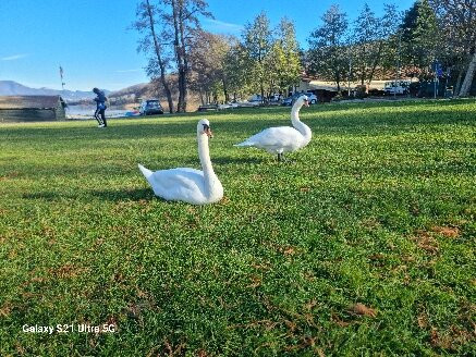 Pista Ciclopedonale del Lago di Comabbio景点图片