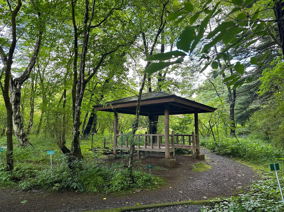 Nikko Botanical Garden-日光市必去景点