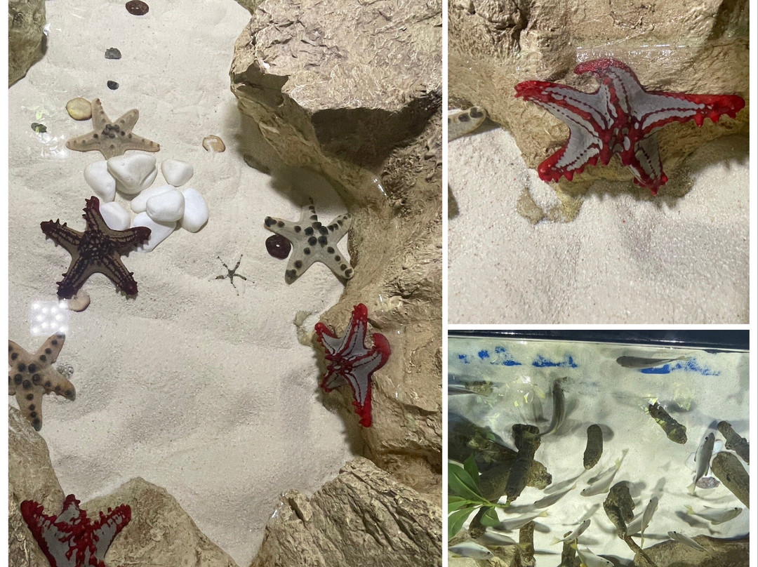 Hamad Port Visitors Center-Mesaieed必去景点