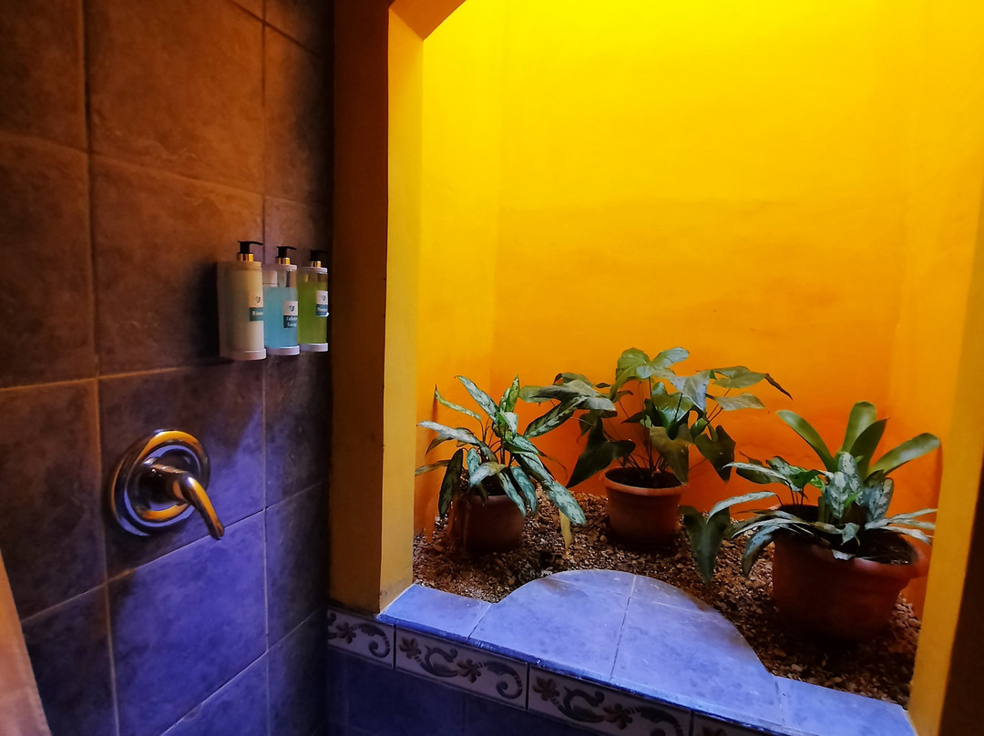 Villas Del Caribe主图