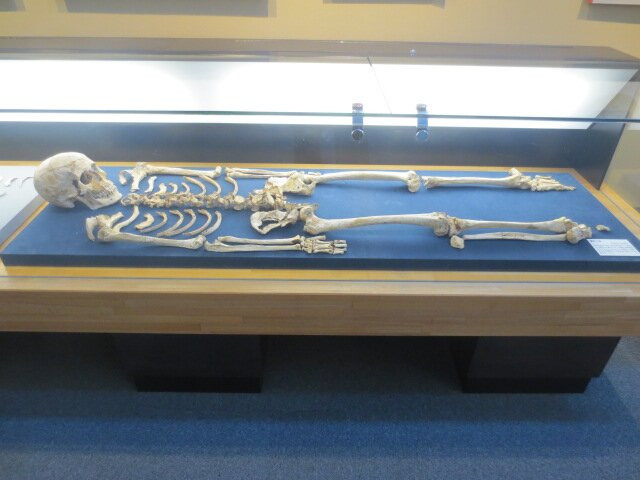 Kita City Asukayama Museum-北区必去景点