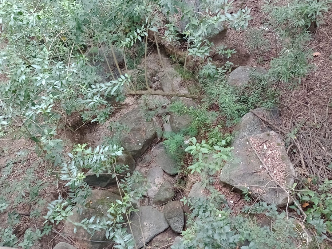 Parque Botanico Eloy Chaves-容迪亚伊必去景点