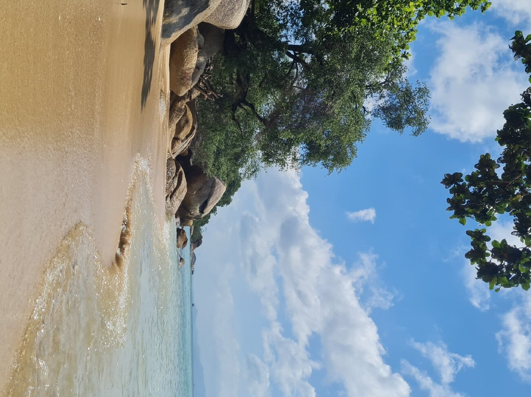 Siam Cookies Bungalow主图