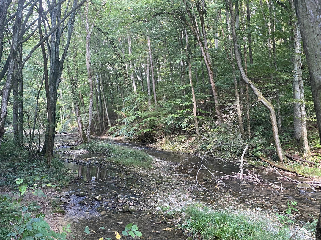 Nera Beusnita National Park景点图片