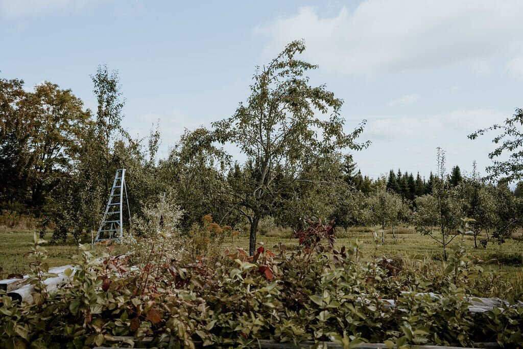 Verger et Cidrerie les Roy de la Pomme-Saint Georges必去景点