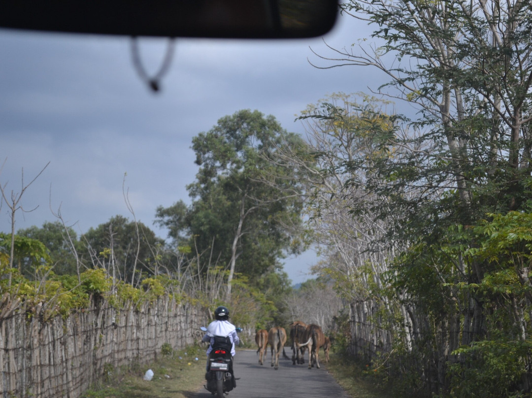 Boat at Desa Lampulo-班达亚齐必去景点
