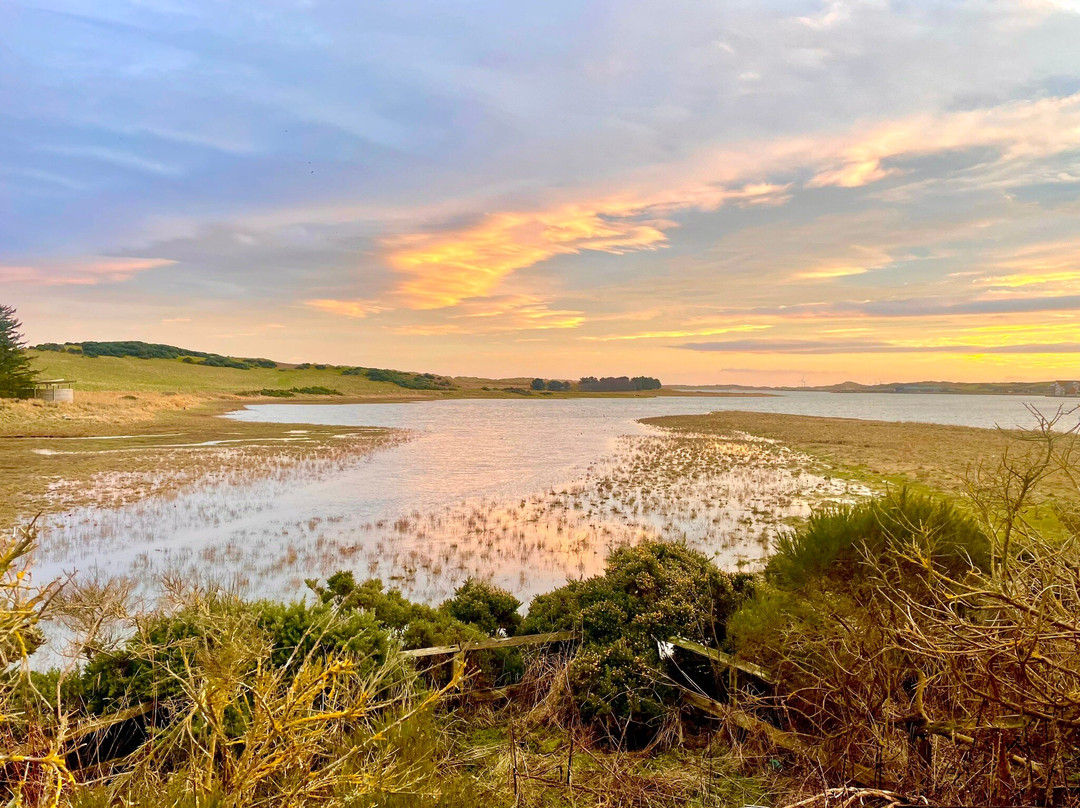 Forvie National Nature Reserve-Ellon必去景点