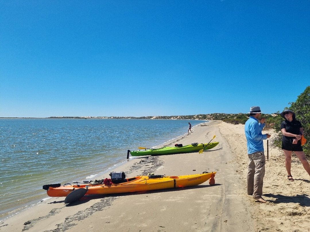 Canoe The Coorong - Day Tours-Hindmarsh Island必去景点