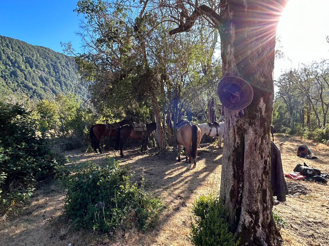 Rancho Carhuello-普孔必去景点