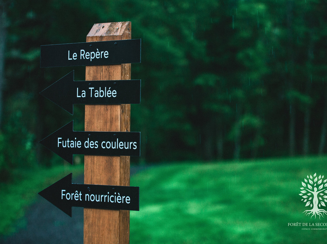 Forêt de la Seconde Vie-Sainte-Sophie必去景点