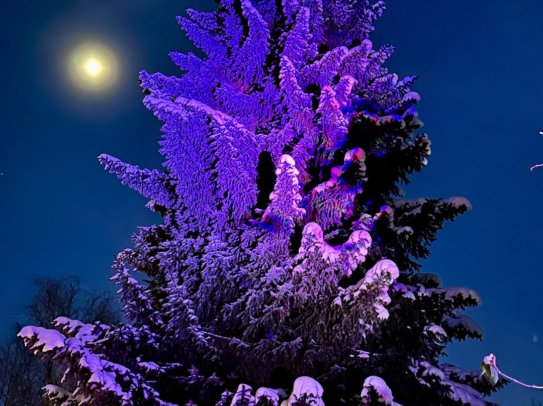 Hotel Wilhelmshoehe主图