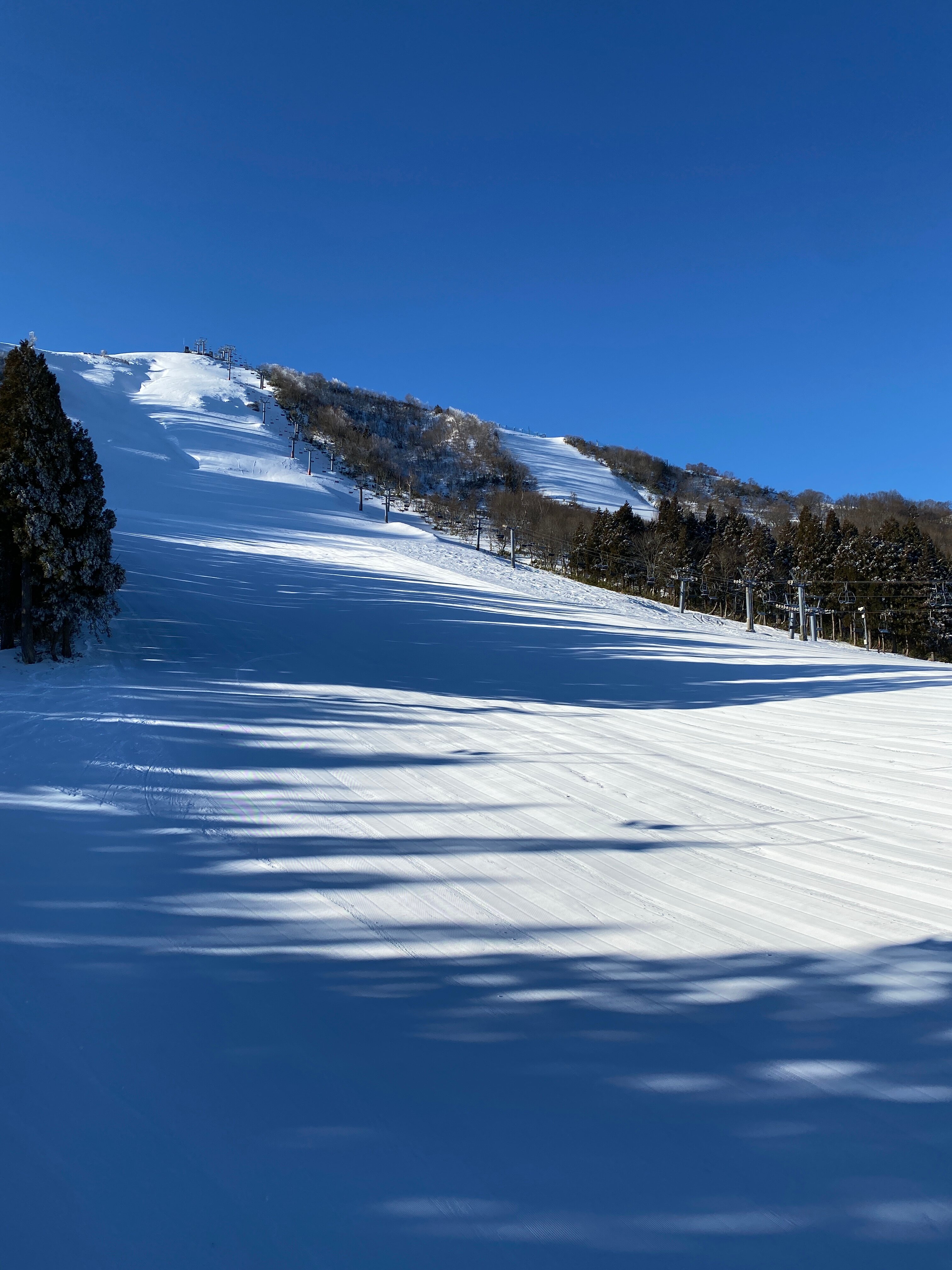 欧亚达西洒亚日式旅馆-官方