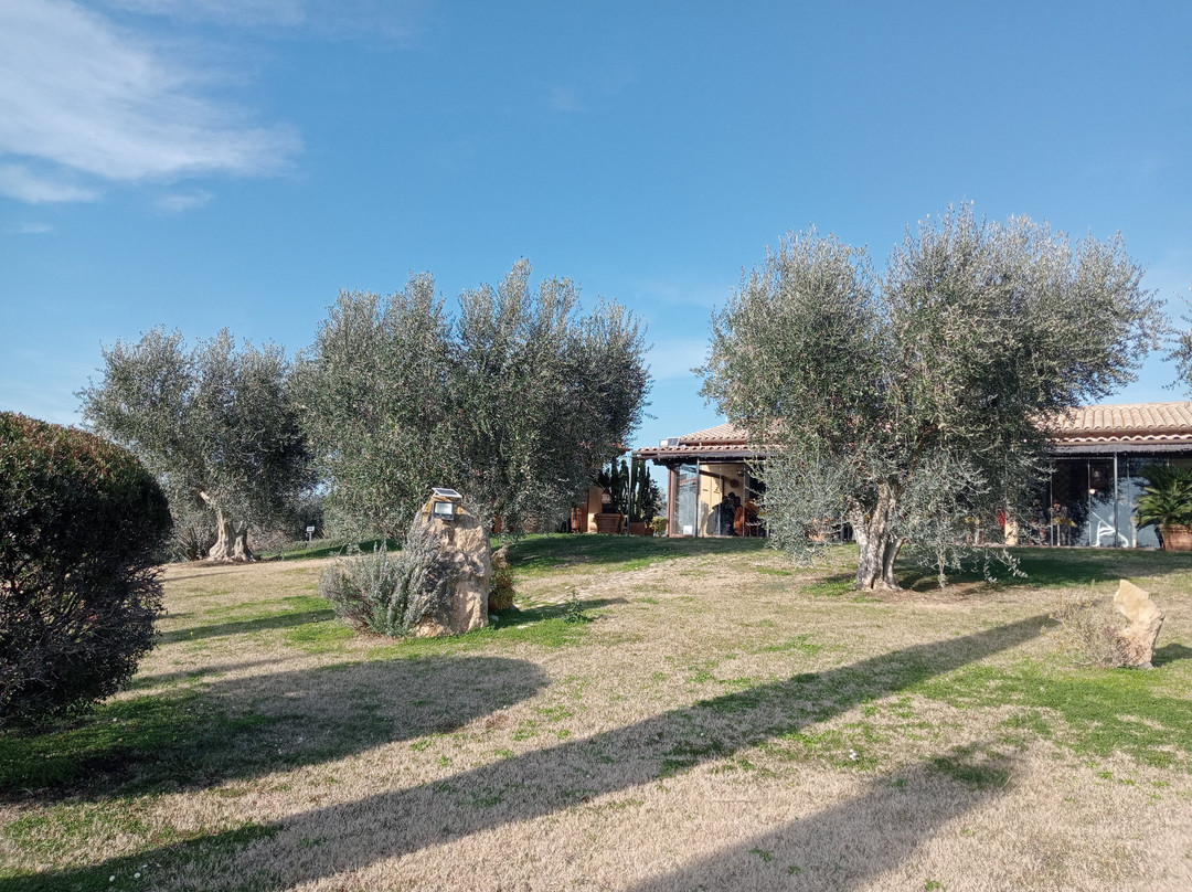 Agriturismo Casa Degli Ulivi主图