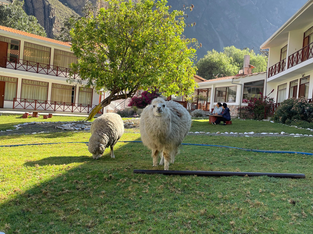 Fundo Hotel Ayarpongo主图