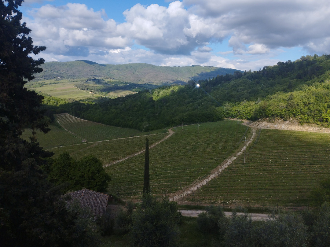 Chiantigiana Road景点图片