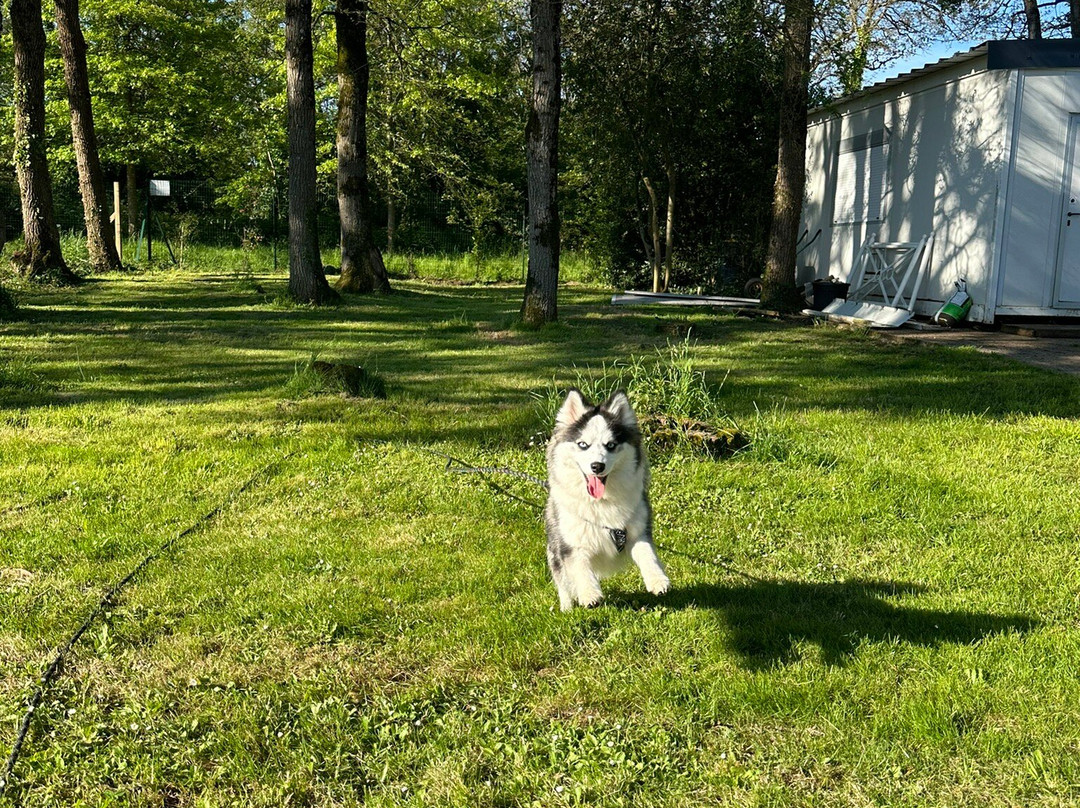 The Originals City, Hotel Anaïade, Saint-Nazaire主图