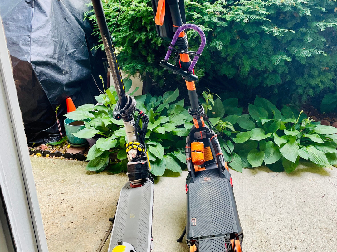 Miller Ferry-Put in Bay必去景点