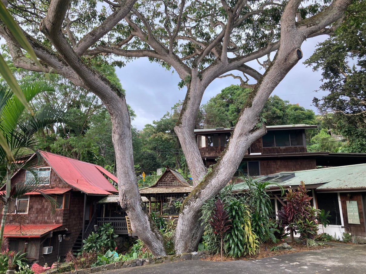 黑尔玛鲁希亚乡村酒店-浴室