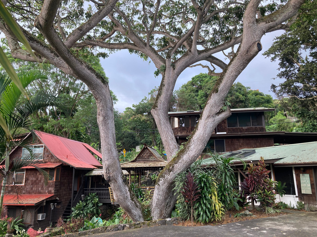 黑尔玛鲁希亚乡村酒店主图