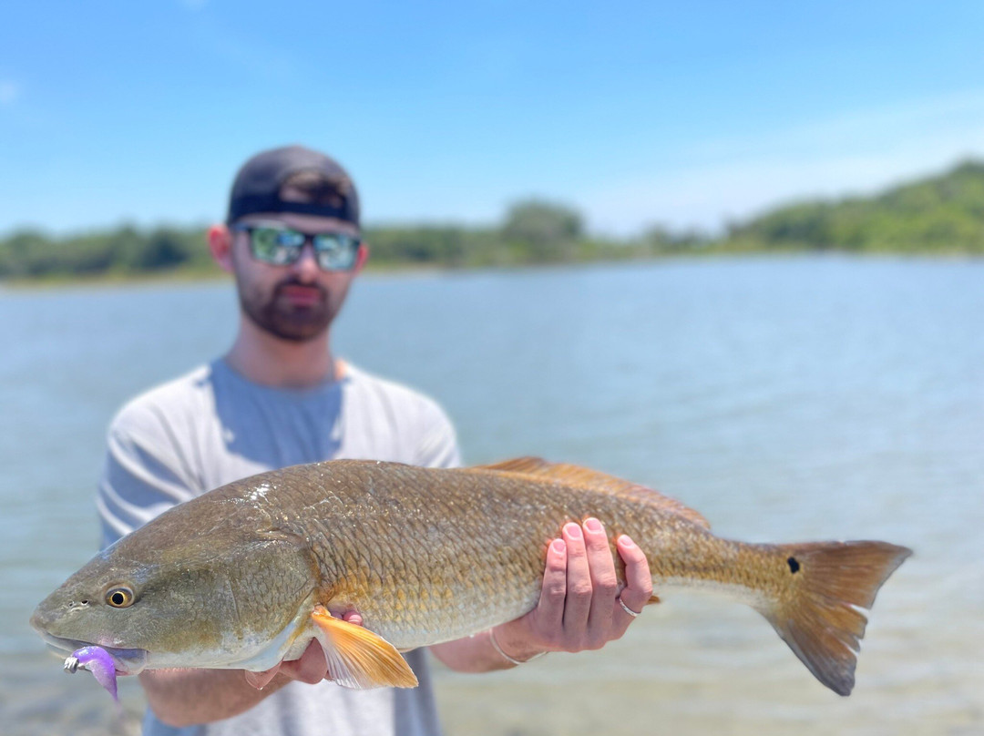 Explore More Inshore Charters-棕榈岛必去景点
