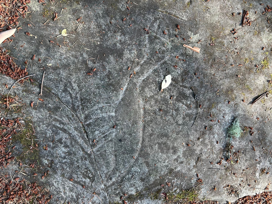 Petroglyph Provincial Park-纳奈莫必去景点