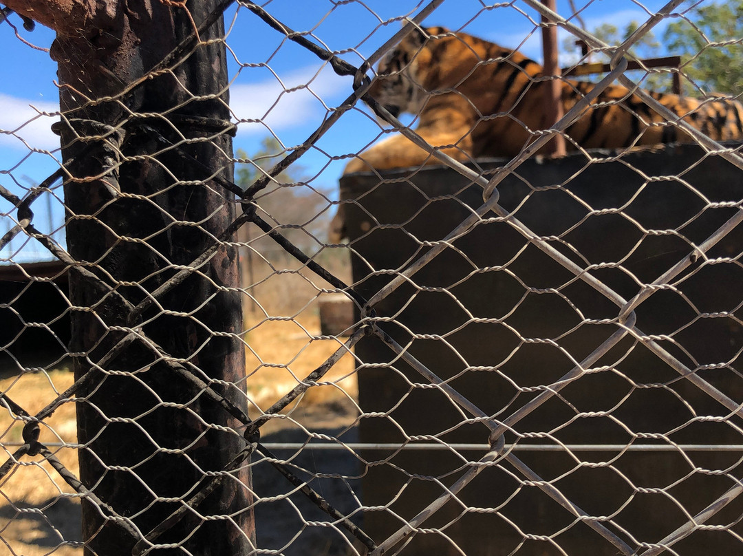 Eventieria Wildlife Park-瓦尔沃特必去景点