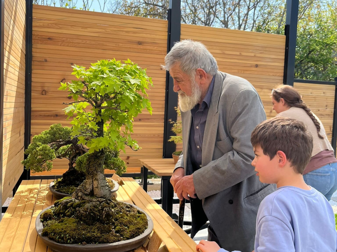 Yalova Bonsai Müzesi-Yalova必去景点