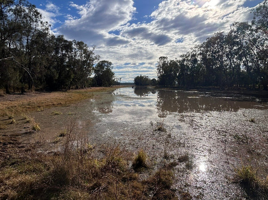 Myall Park Botanic Garden-Glenmorgan必去景点