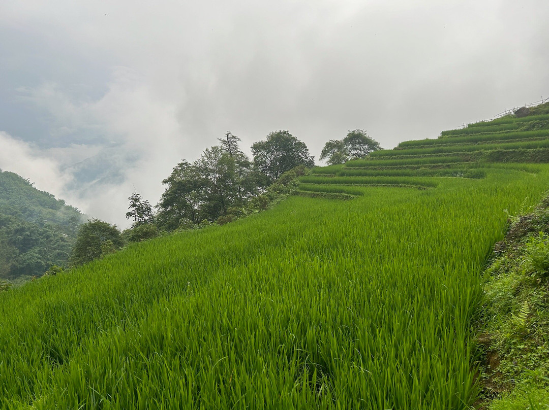 Sapa Trekking Mama Zuzu-沙巴必去景点