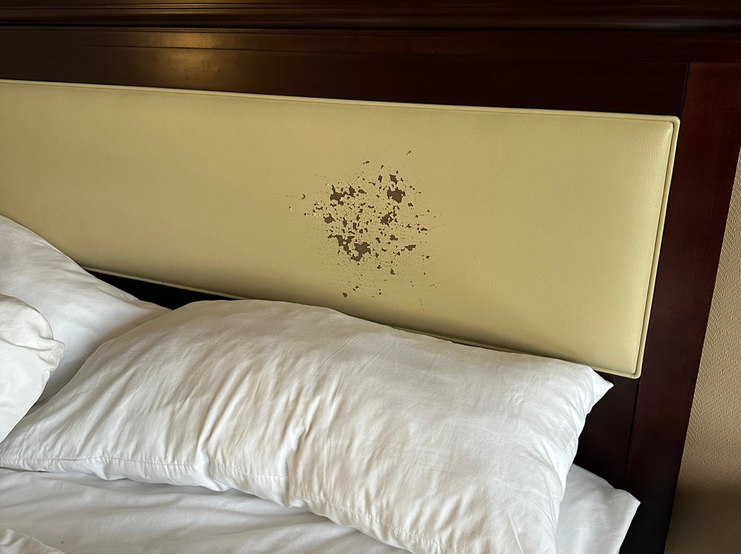 丹佛西喜来登酒店主图