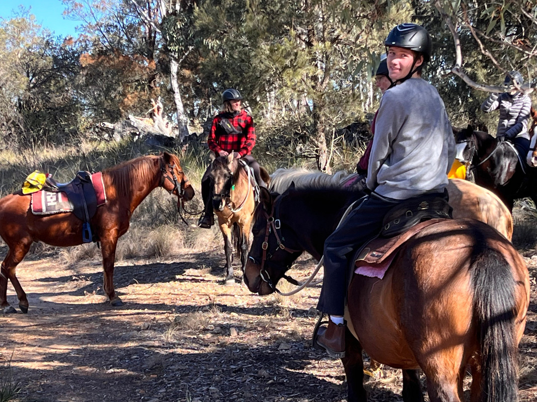 Burnelee Excursions on Horseback-穆任百特曼必去景点