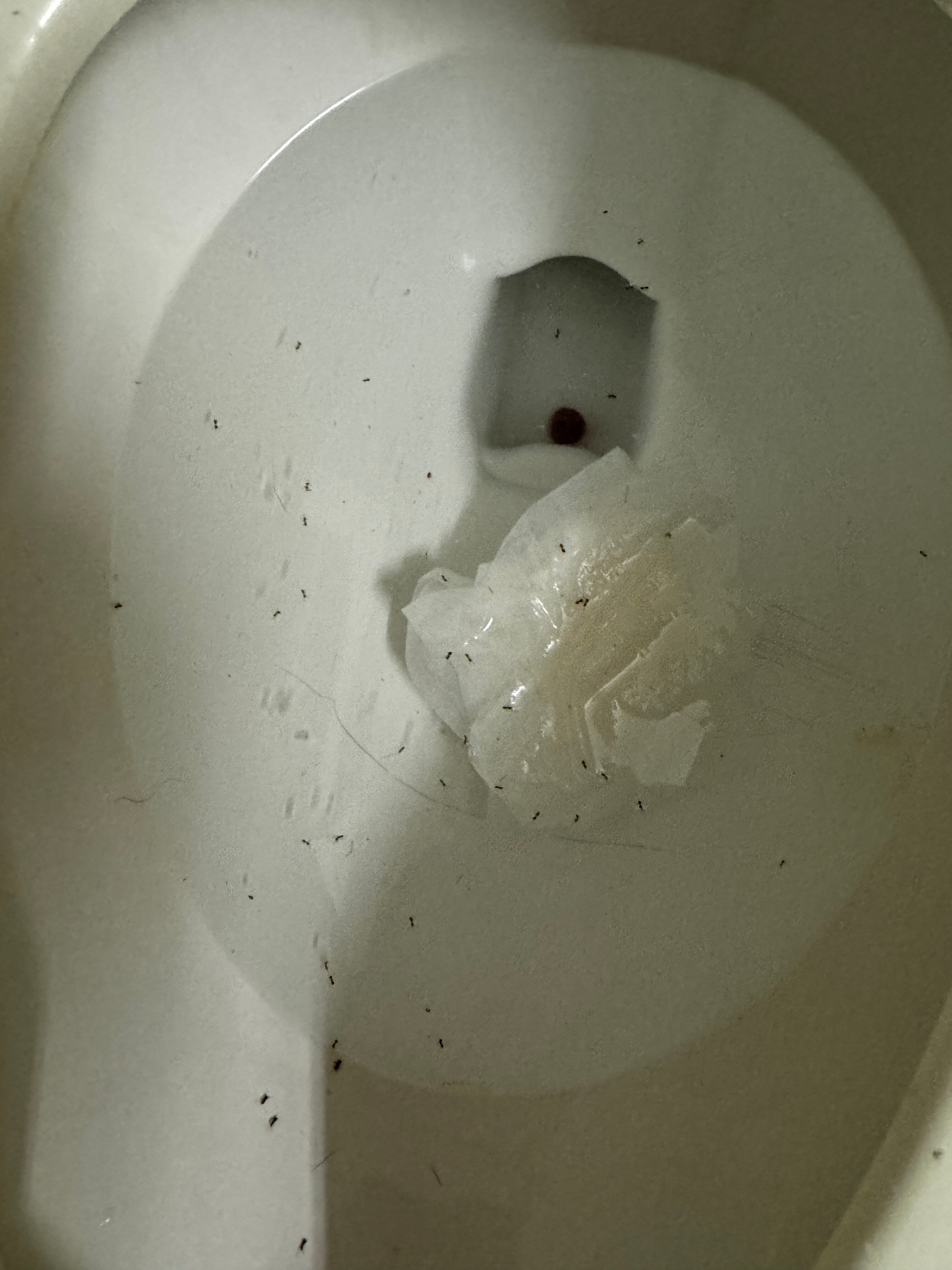 Motel 6 Junction City-客卧