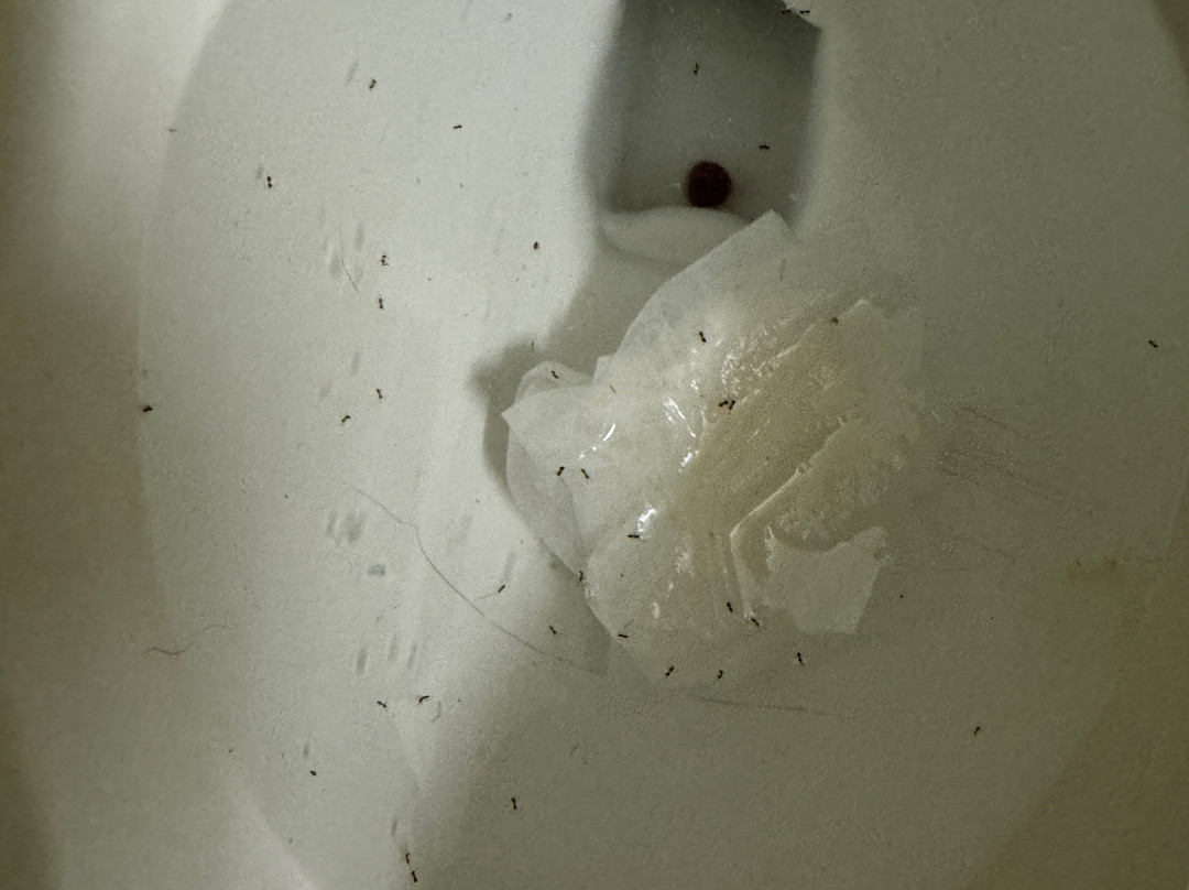 Motel 6 Junction City主图