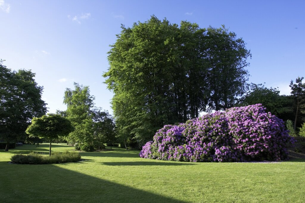 里德纳斯酒店&会议中心主图
