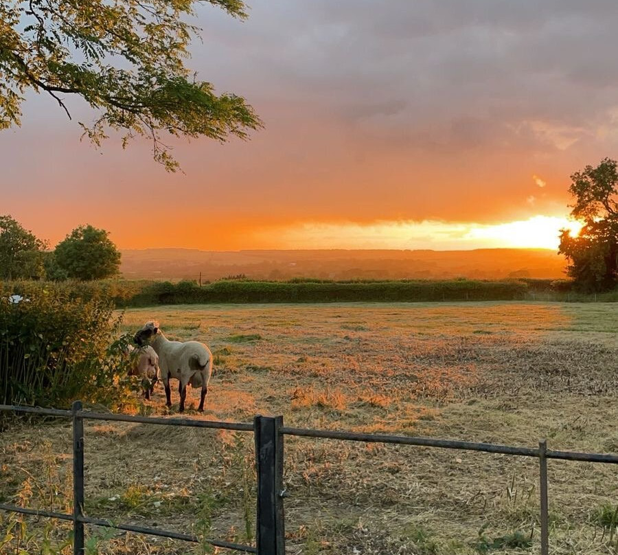 Banbury Hill Farm主图
