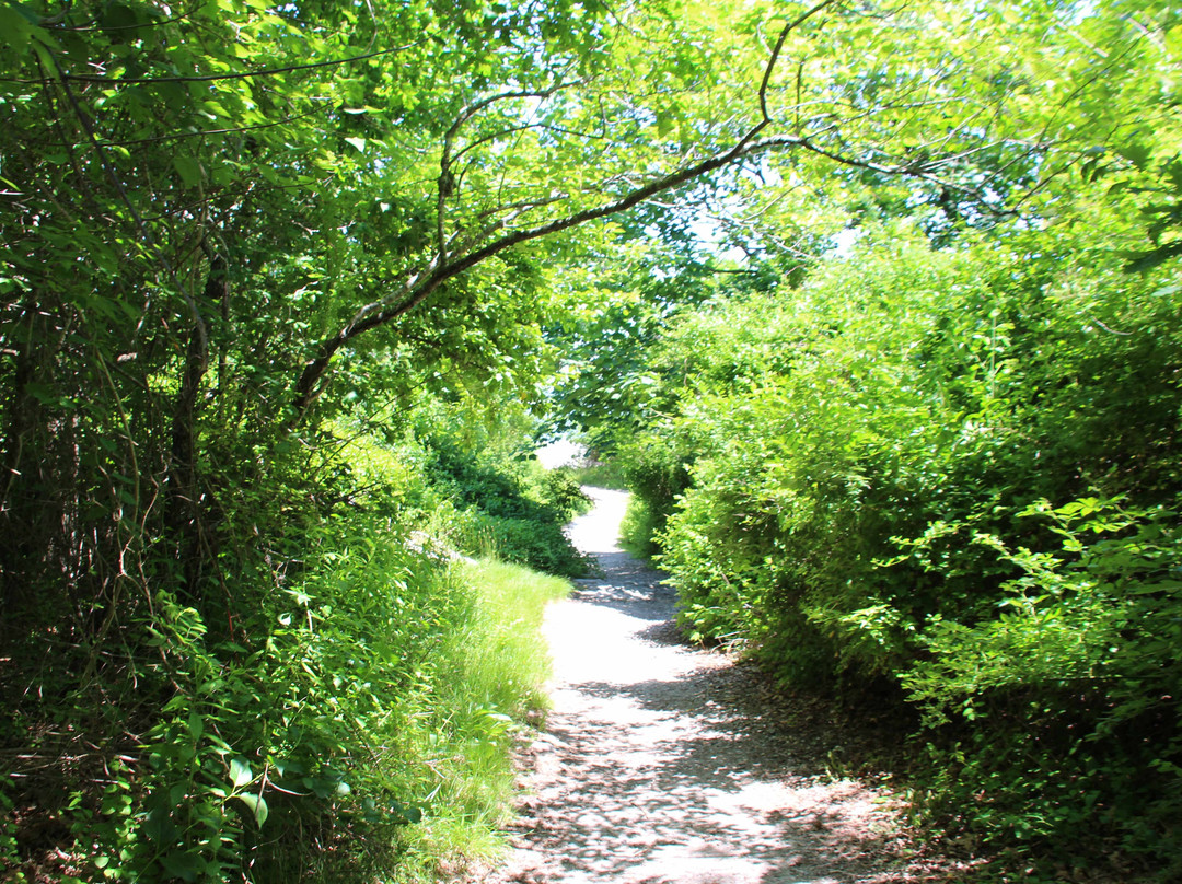 Purgatory Chasm-米德尔敦必去景点