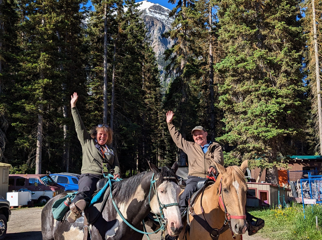 Timberline Tours Ltd. - Private Day Tours-路易斯湖必去景点