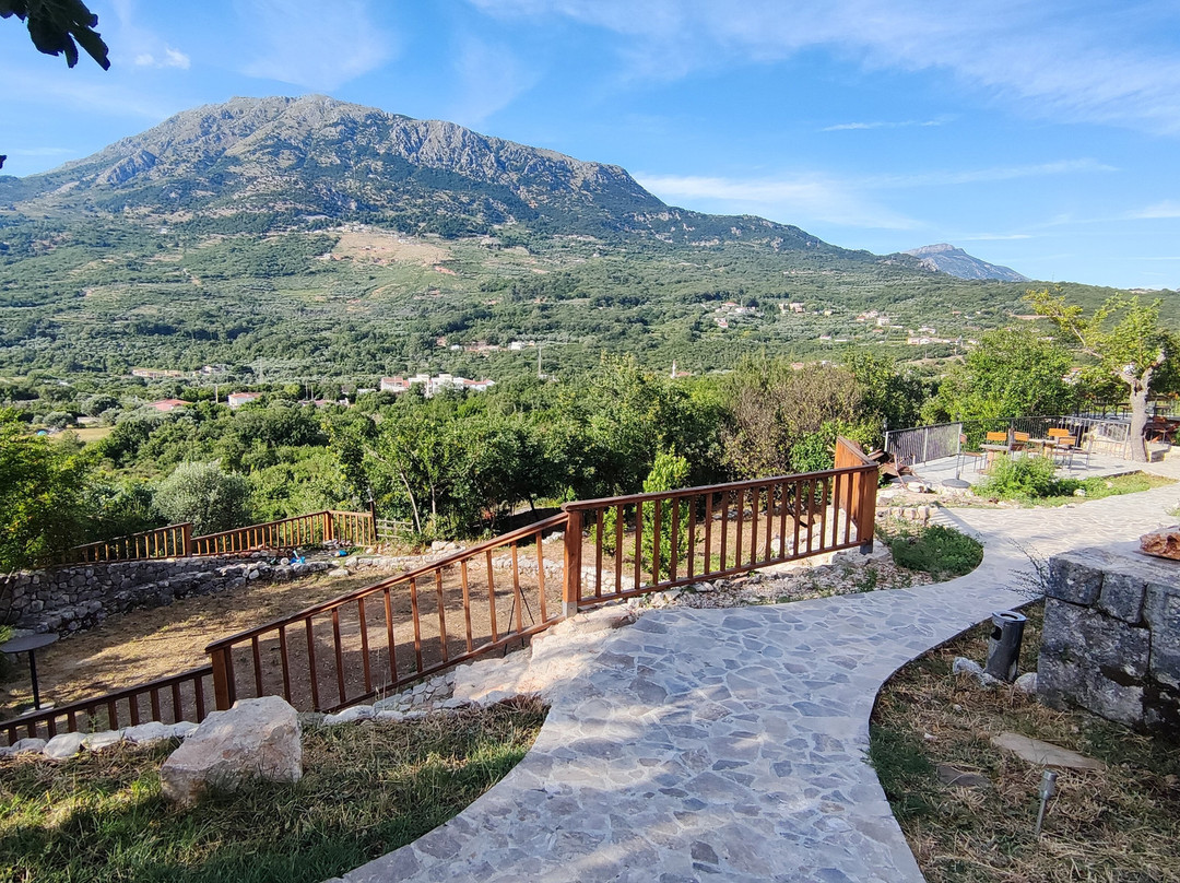 Montenegro Tower-Dubrava必去景点