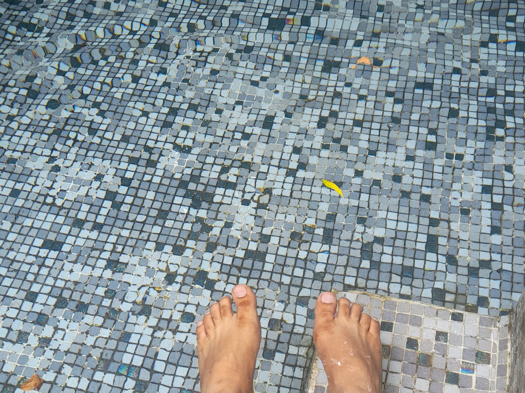 Wild Rose Resort & Spa主图