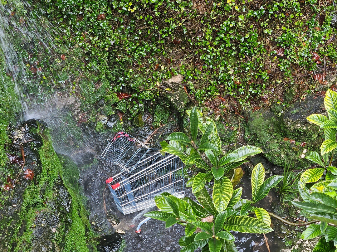 Cave Garden/thugi景点图片