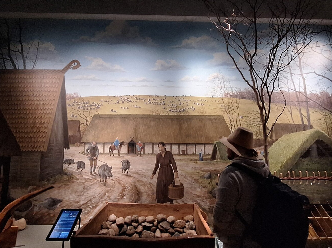 Vikingemuseet Lindholm Høje-Noerresundby必去景点