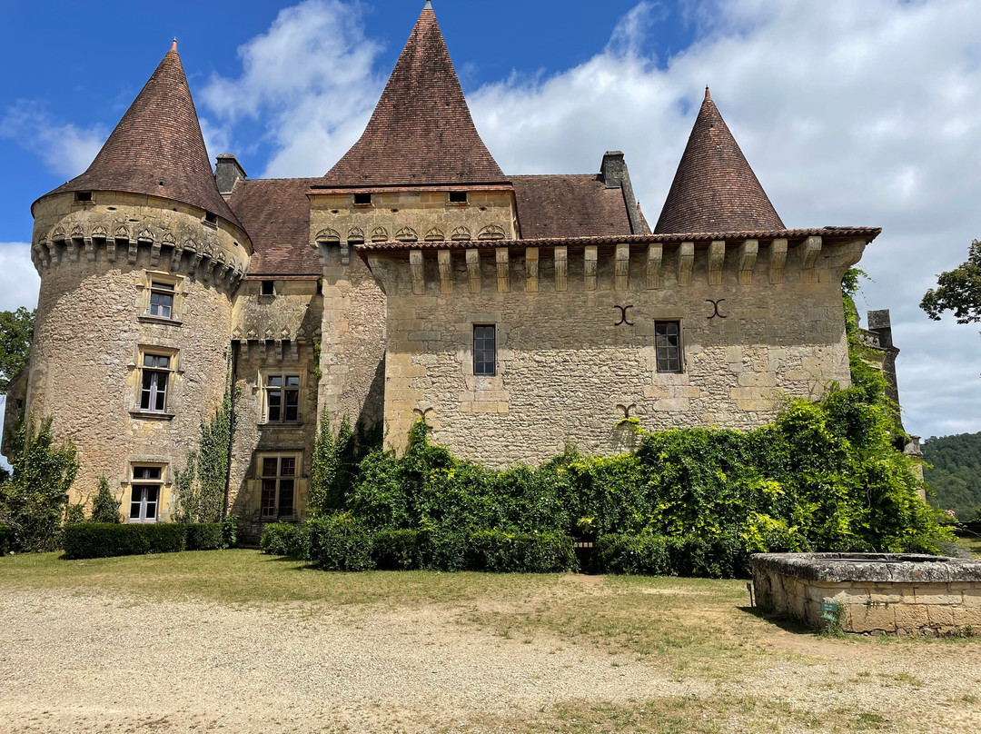 Chateau de Marzac景点图片