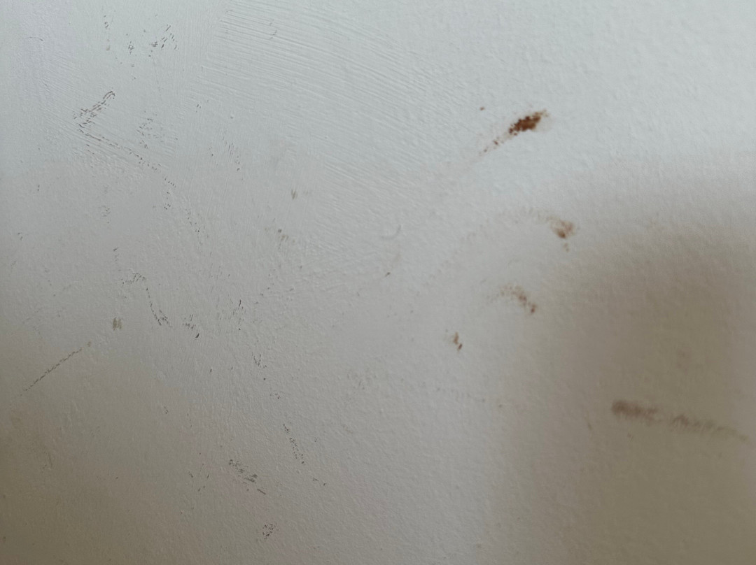 Andalucia Beach Hotel & Residence主图